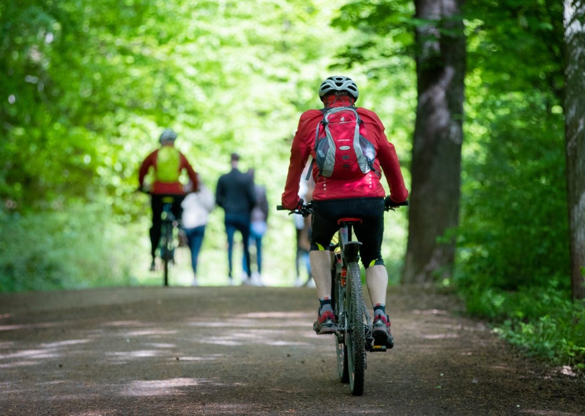 Fahrradfahrer Spaziergänger Wald Riddagshausen