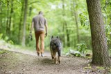 Mann spaziert im Wald mit einem Hund