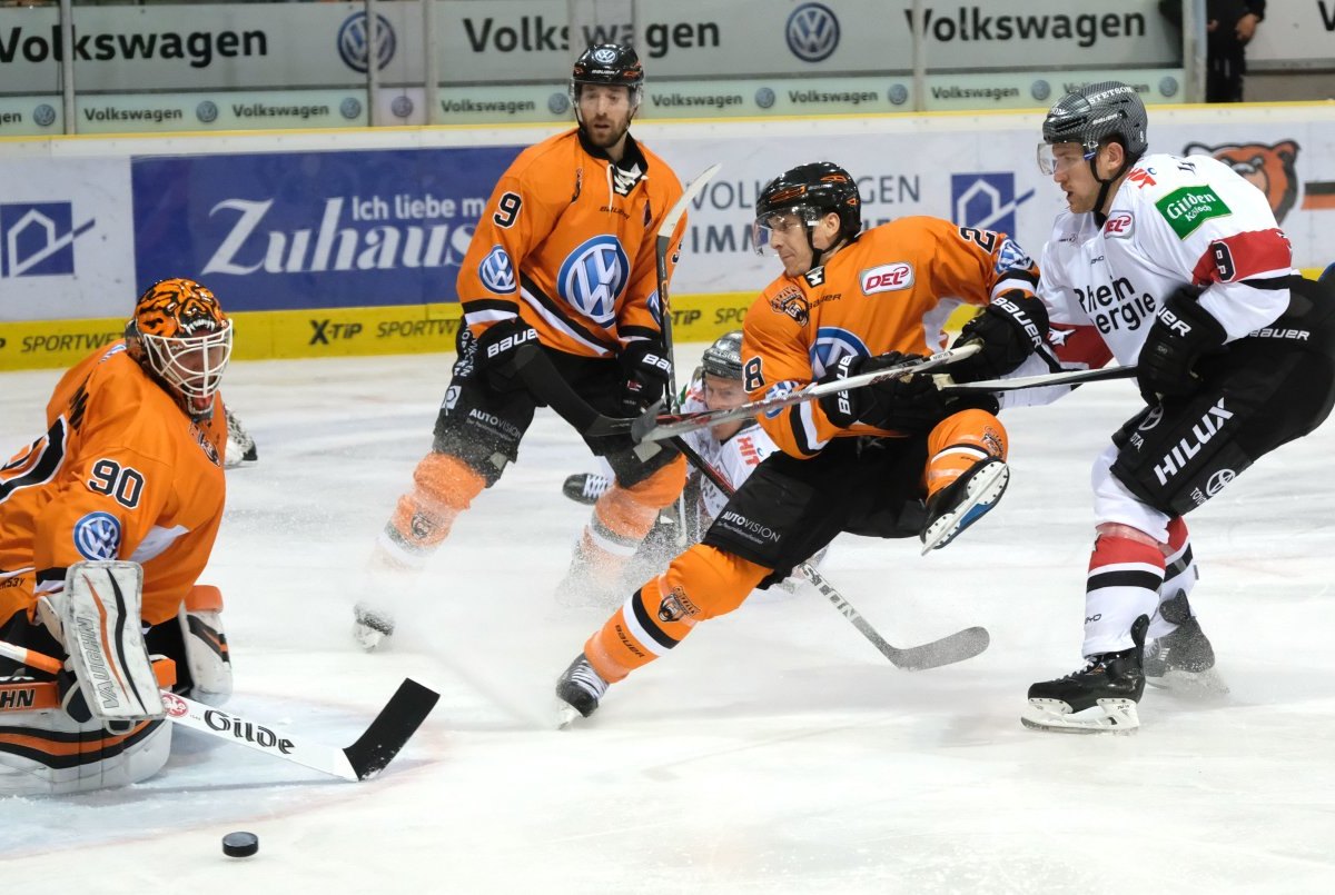 grizzlys kölner haie