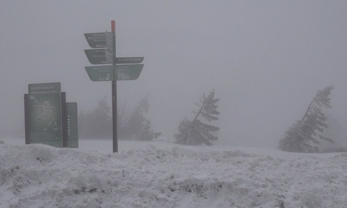 harz