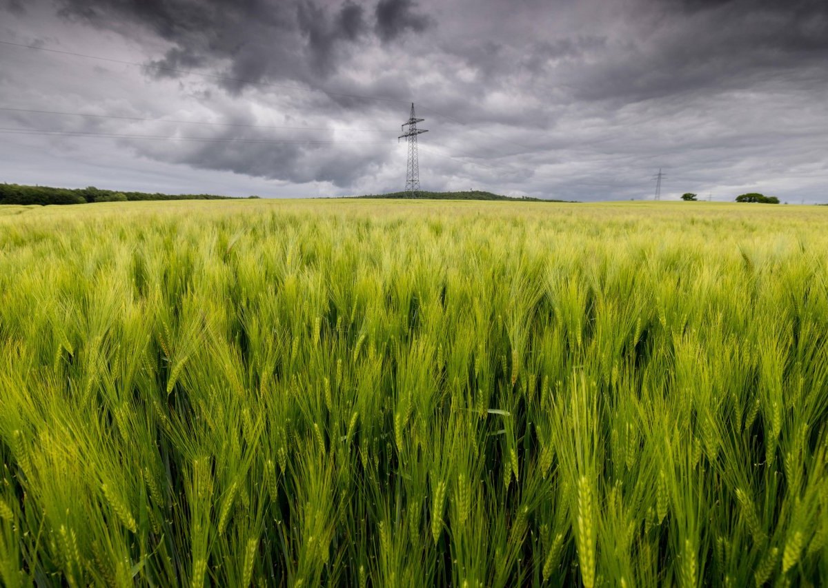 Wetter-Niedersachsen.jpg