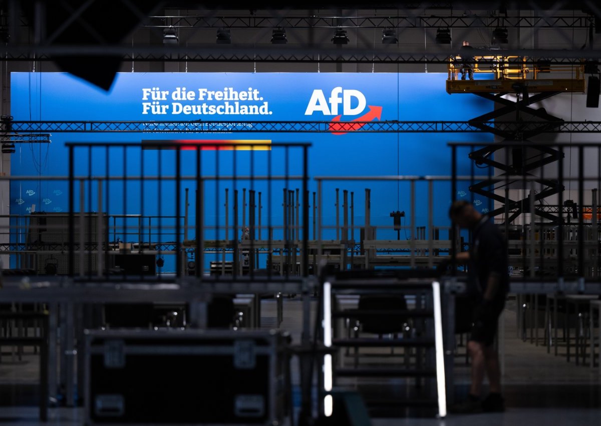 afd niedersachsen.jpg