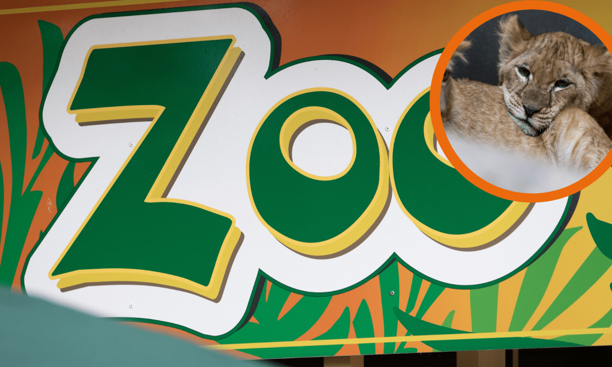 Zoo Braunschweig .png