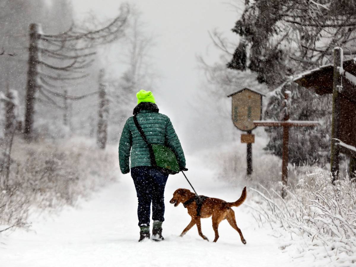 Vor allem im Harz ist einiges an Schnee vom Himmel gefallen! (Symbolbild)