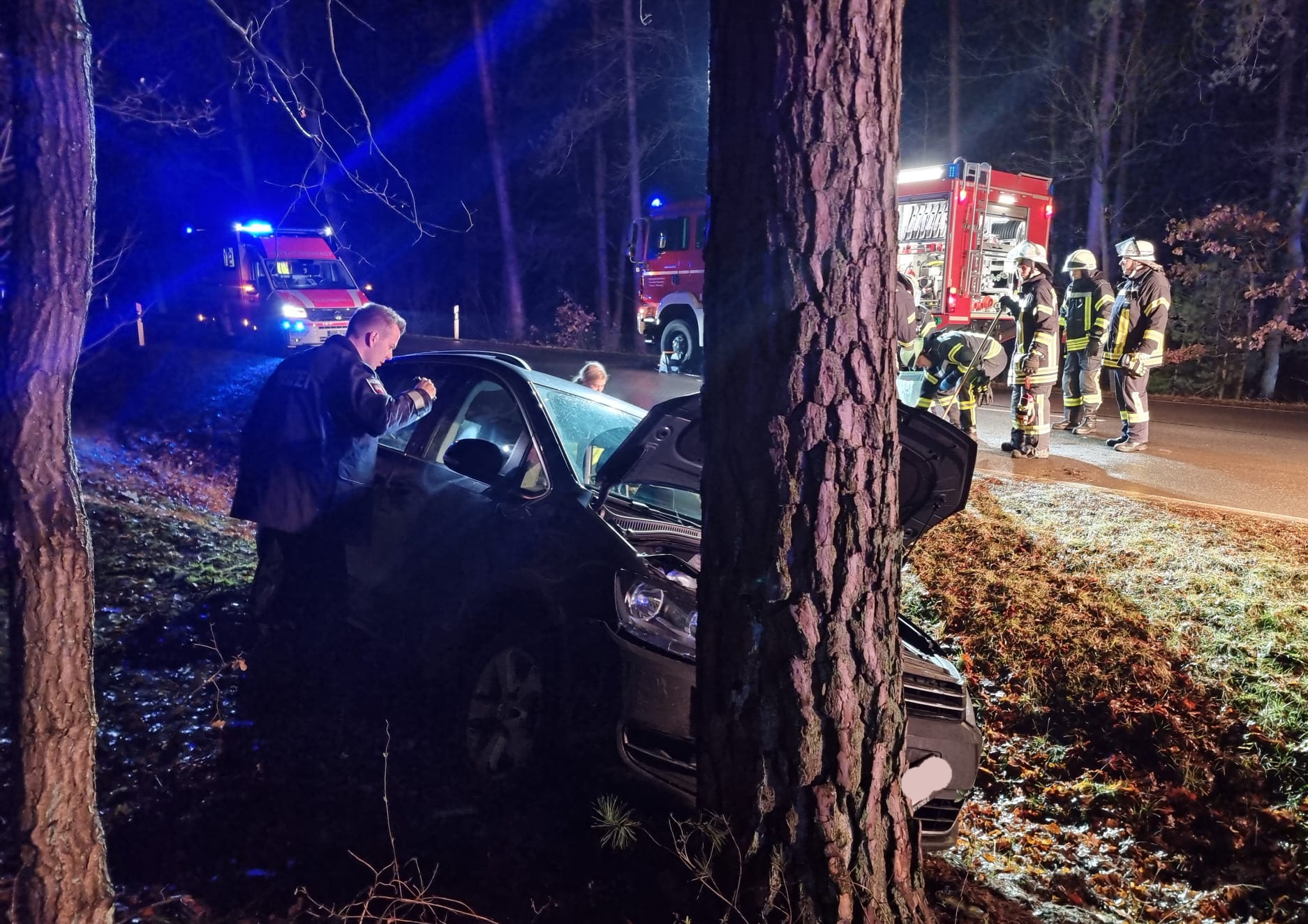 Kreis Gifhorn: Tödlicher Baum-Unfall Bei Parsau - News38.de