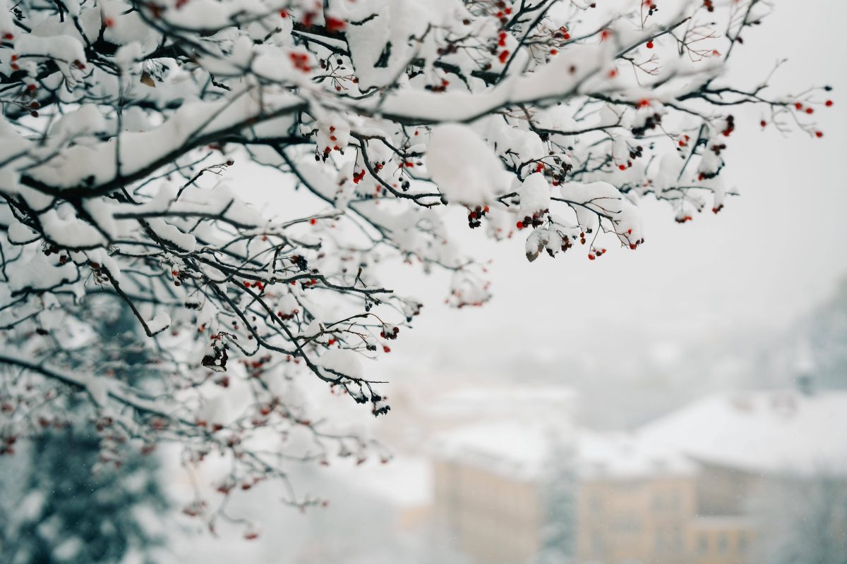 Wetter in Niedersachsen: Weiße Weihnachten? Alles hängt DAVON ab 