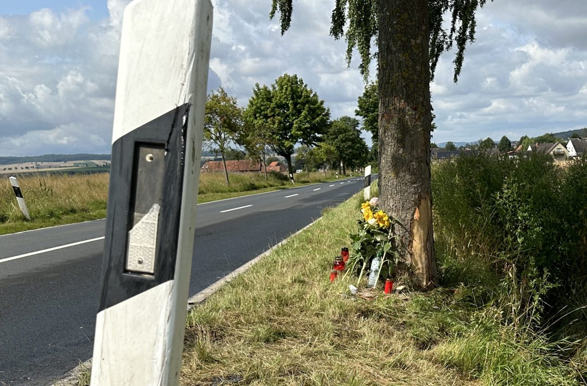 An diesem Straßenbaum bei Salzgitter kam es zu dem tragischen Unfall, der einem Mädchen das Leben kostete.