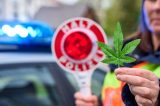 Die Polizei Niedersachsen würde künftig gern mehr Cannabis-Sünder aus dem Verkehr ziehen. Aber so einfach ist das alles offenbar nicht.