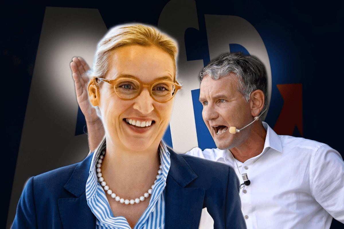 AfD-Chefin Weidel stärkt Höcke den Rücken - obwohl sie ihn einst vom Hof jagen wollte.