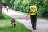 Mit Suchhunden hat die Polizei nach der Seniorin gesucht. (Symbolbild)