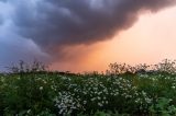 Der Sommer verabschiedet sich mit Regen und Gewittern. (Archivbild)