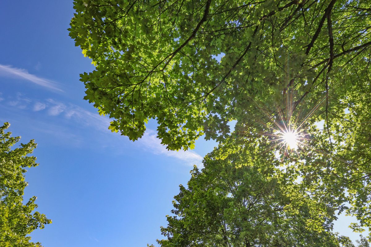 Wetter in Niedersachsen