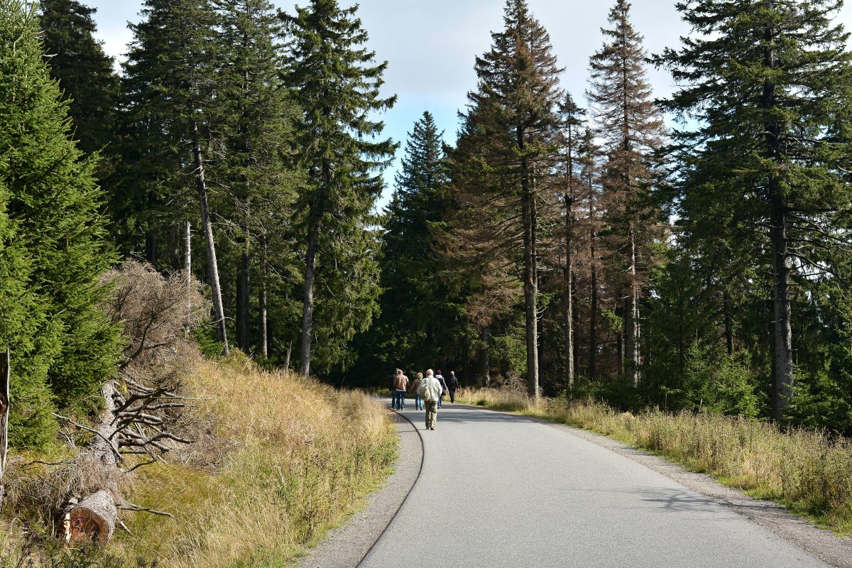 Zum jüngsten Waldbrand am Brocken im Harz wird weiter ermittelt. Die Polizei hofft auf Menschen, die am Tag des Ausbruchs fotografiert oder gefilmt haben.