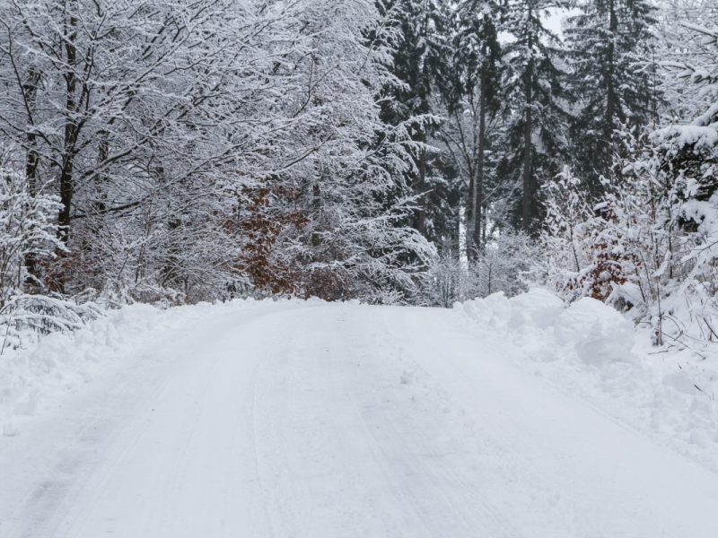 Wetter in Niedersachsen: Experte warnt! „Besser für mehrere Tage sperren“