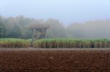 wetter niedersachsen