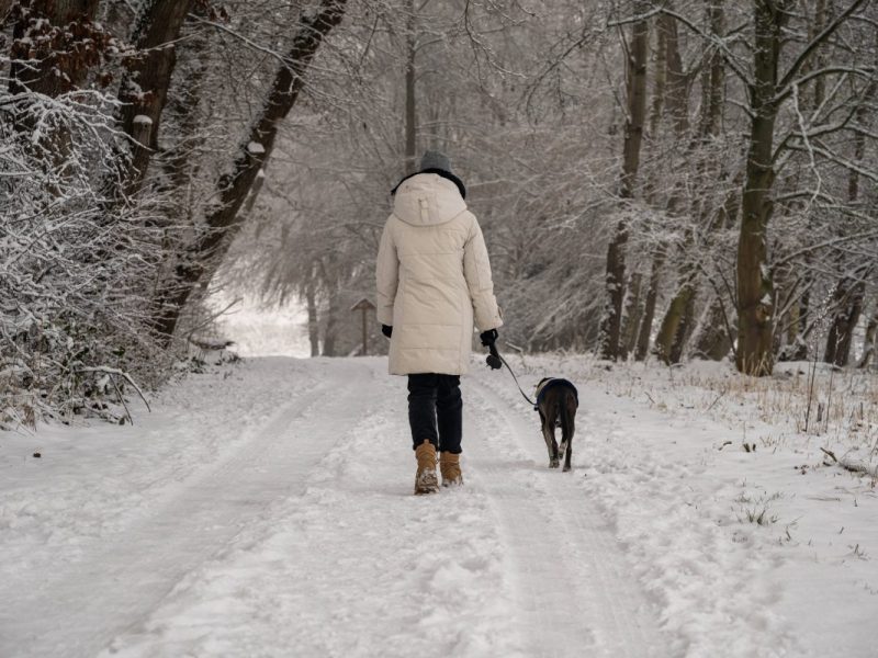 Wetter in Niedersachsen: Kommt endlich der erste Schnee? „Liegt Spannung in der Luft“