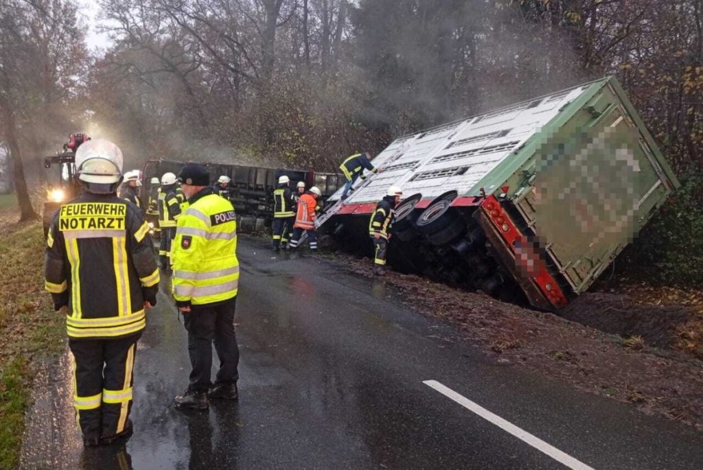 Bei einem schlimmen Unfall bei Gifhorn sind viele Tiere gestorben.