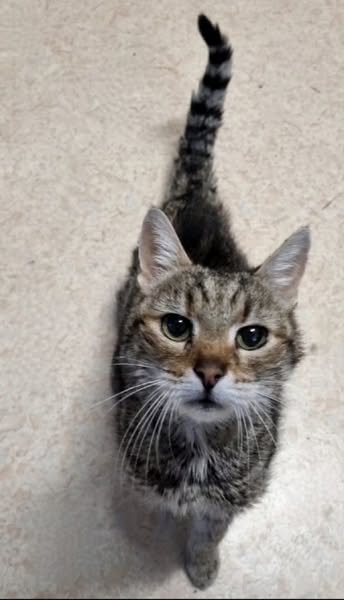 Lotti sucht eine Pflegestelle für ihren Lebensabend. 