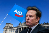 Auf seiner Plattform macht Elon Musk Werbung für die AfD.