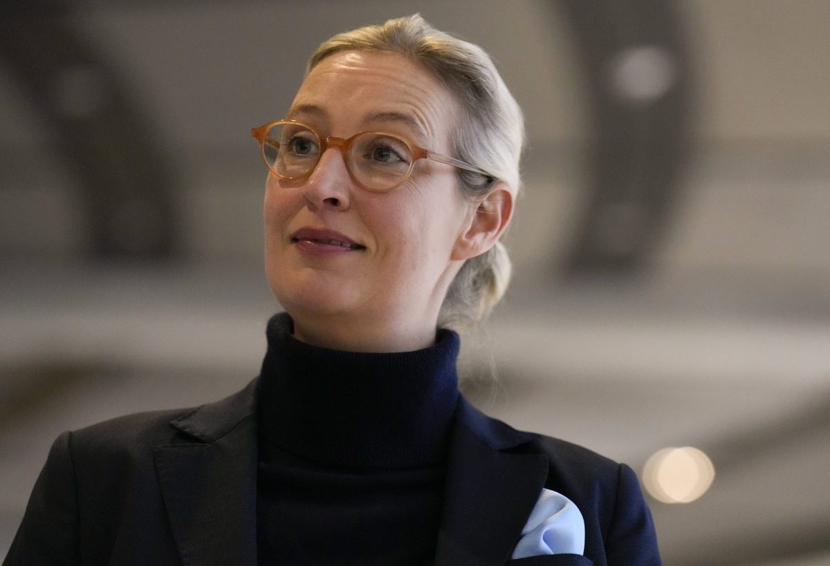 Steuergeschenke für Top-Verdiener: Weidel und die AfD