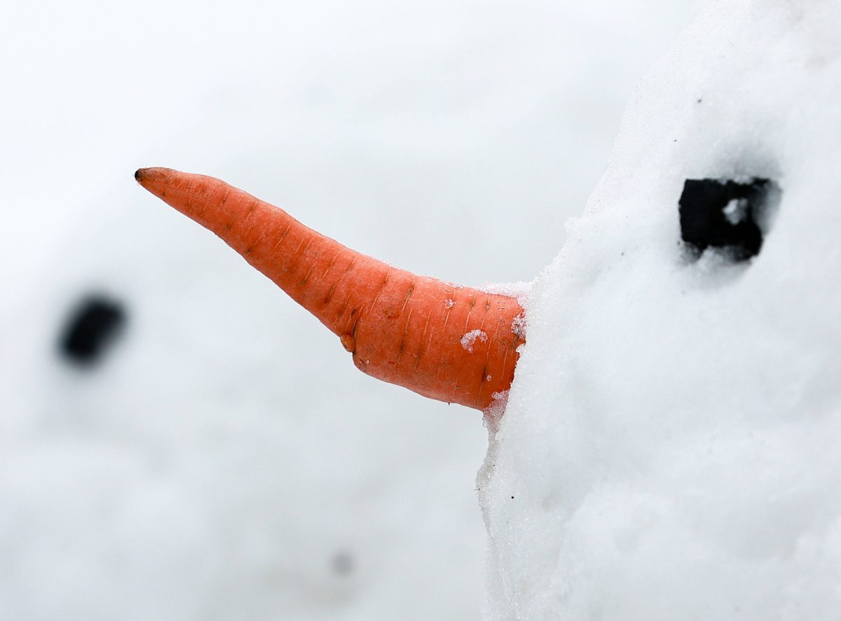 Uns erwarten mal wieder grüne statt weiße Weihnachten...