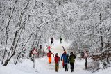 Die Zukunft der beiden Skipisten am sogenannten Sonnenblick-Hang am Sonnenberg im Harz ist unklar.