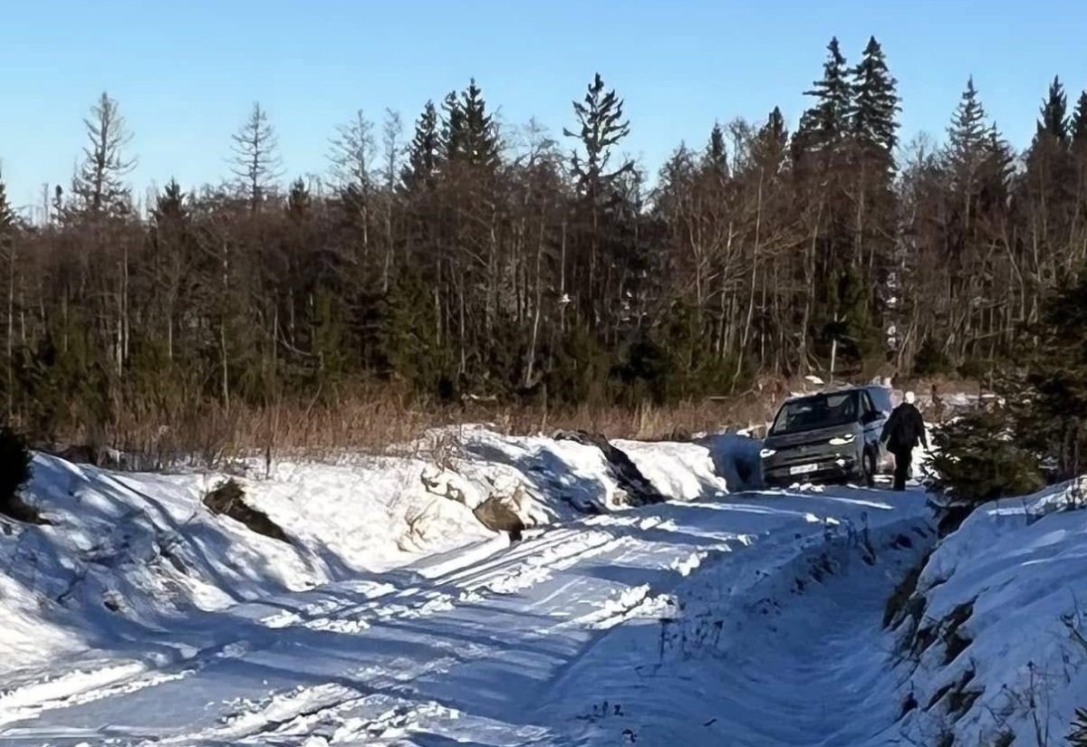 FÃ¼r den VW ging es im Harz nicht weiter.