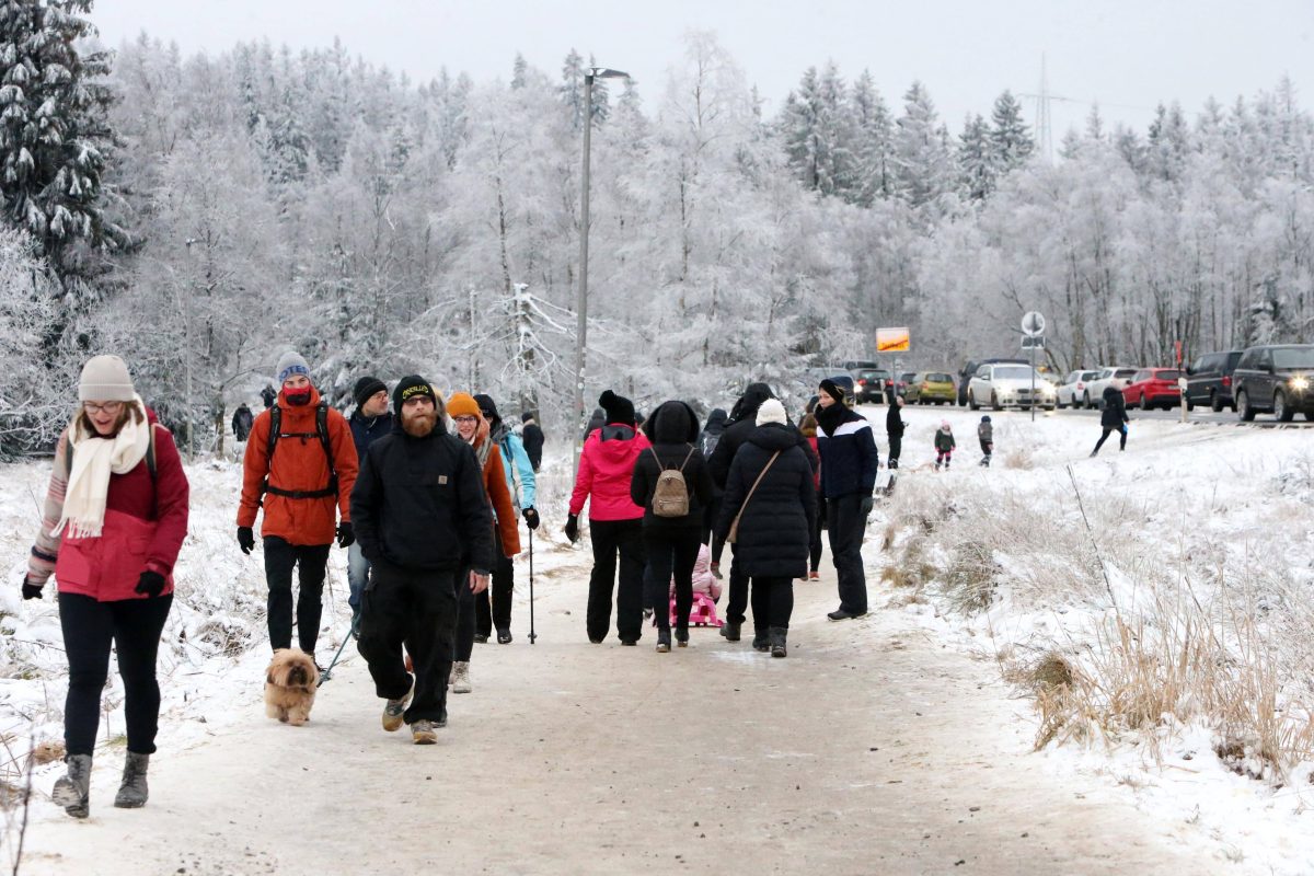 Harz