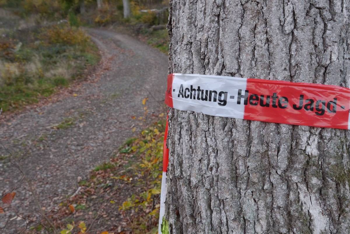 Ein Flatterband an einem Baum warnt vor einer Jagd