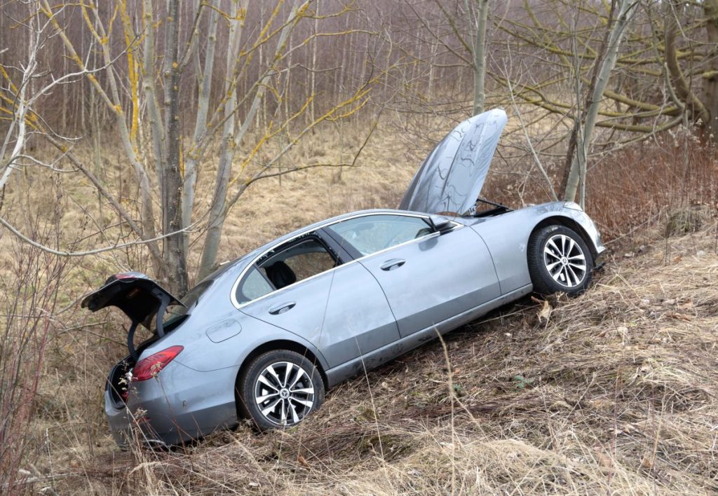 Der Fahrer des Mercedes erlag seinen schweren Verletzungen. 