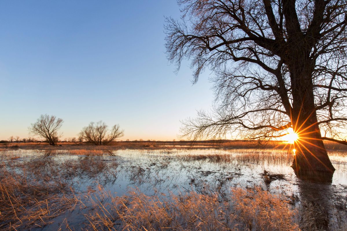 wetter niedersachsen