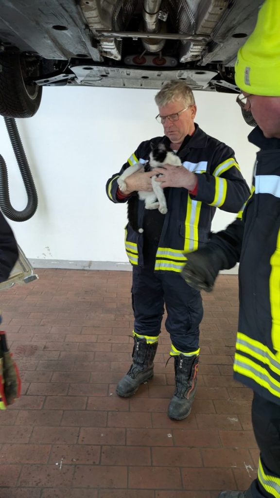 Unverletzt konnte der mutige Kater befreit und an die Katzenhilfe übergeben werden.