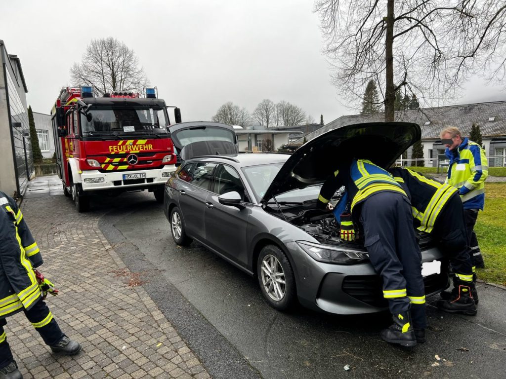 Vor Ort konnte der Kater nicht befreit werden.