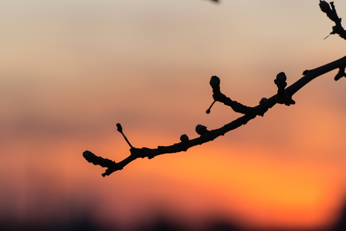 wetter-in-niedersachsen-alarmstufe-rot-unsere-luft-kann-dich-krank-machen